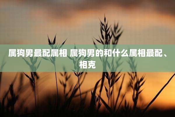 属狗男最配属相 属狗男的和什么属相最配、相克