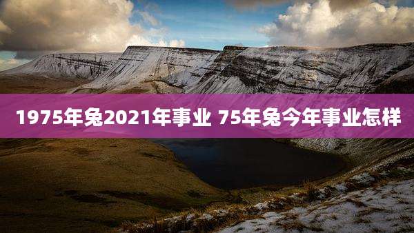 1975年兔2021年事业 75年兔今年事业怎样