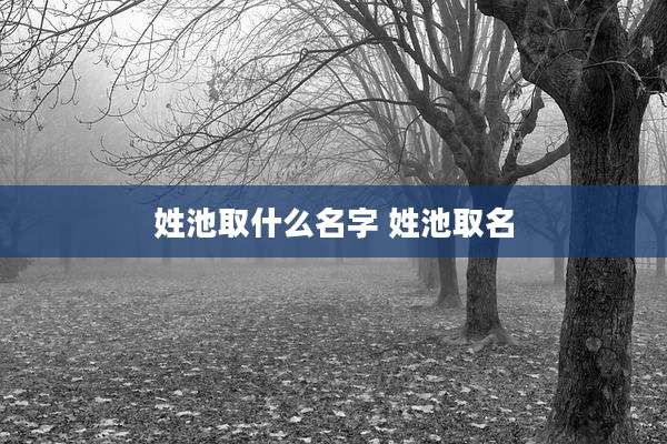 姓池取什么名字 姓池取名
