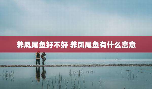 养凤尾鱼好不好 养凤尾鱼有什么寓意