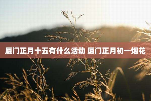 厦门正月十五有什么活动 厦门正月初一烟花