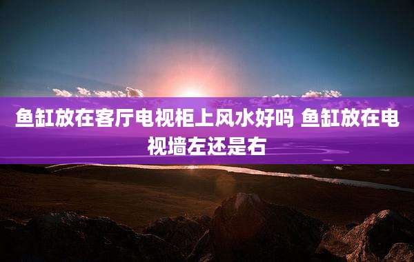 鱼缸放在客厅电视柜上风水好吗 鱼缸放在电视墙左还是右