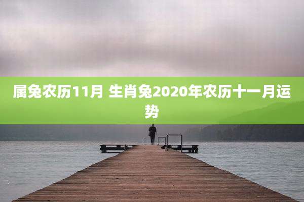 属兔农历11月 生肖兔2020年农历十一月运势