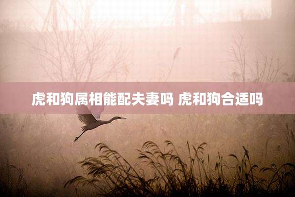 虎和狗属相能配夫妻吗 虎和狗合适吗