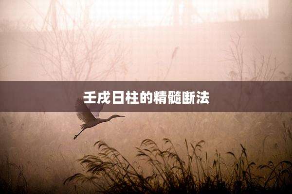 壬戌日柱的精髓断法