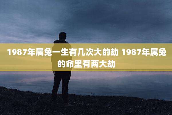 1987年属兔一生有几次大的劫 1987年属兔的命里有两大劫