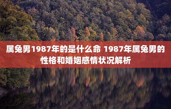 属兔男1987年的是什么命 1987年属兔男的性格和婚姻感情状况解析