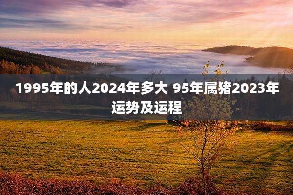 1995年的人2024年多大 95年属猪2023年运势及运程