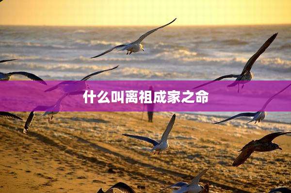 什么叫离祖成家之命