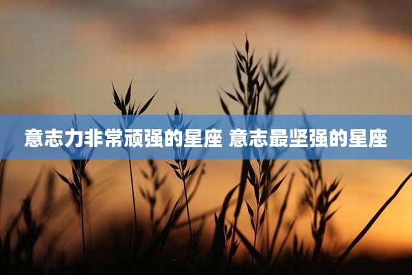 意志力非常顽强的星座 意志最坚强的星座