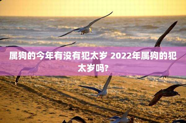 属狗的今年有没有犯太岁 2022年属狗的犯太岁吗?