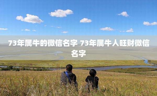 73年属牛的微信名字 73年属牛人旺财微信名字