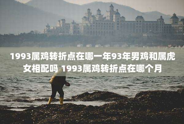 1993属鸡转折点在哪一年93年男鸡和属虎女相配吗 1993属鸡转折点在哪个月
