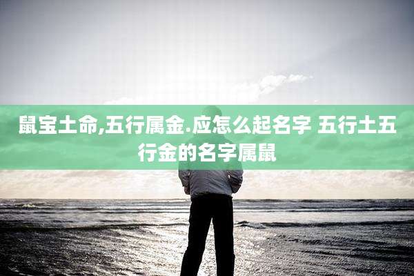 鼠宝土命,五行属金.应怎么起名字 五行土五行金的名字属鼠