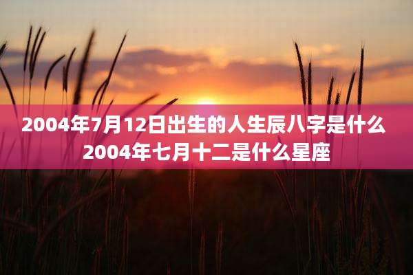2004年7月12日出生的人生辰八字是什么 2004年七月十二是什么星座