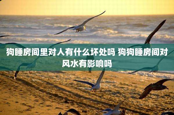 狗睡房间里对人有什么坏处吗 狗狗睡房间对风水有影响吗