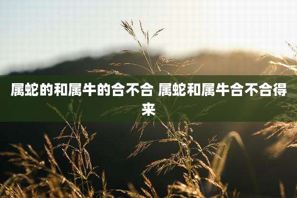 属蛇的和属牛的合不合 属蛇和属牛合不合得来