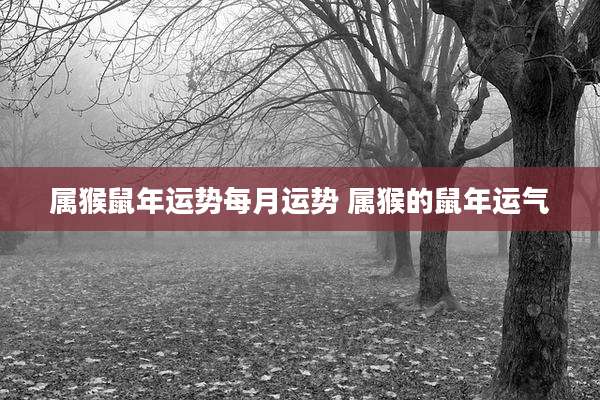 属猴鼠年运势每月运势 属猴的鼠年运气