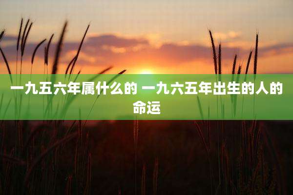 一九五六年属什么的 一九六五年出生的人的命运