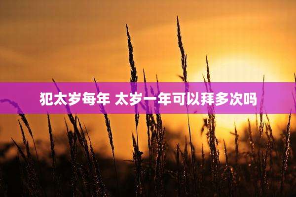 犯太岁每年 太岁一年可以拜多次吗