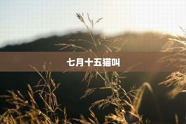 七月十五猫叫