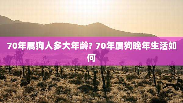 70年属狗人多大年龄? 70年属狗晚年生活如何