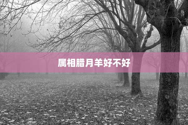 属相腊月羊好不好