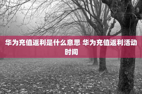 华为充值返利是什么意思 华为充值返利活动时间