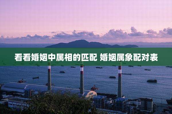 看看婚姻中属相的匹配 婚姻属象配对表