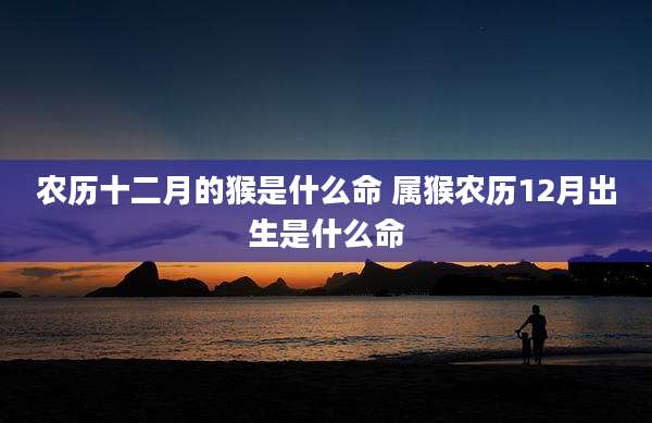 农历十二月的猴是什么命 属猴农历12月出生是什么命