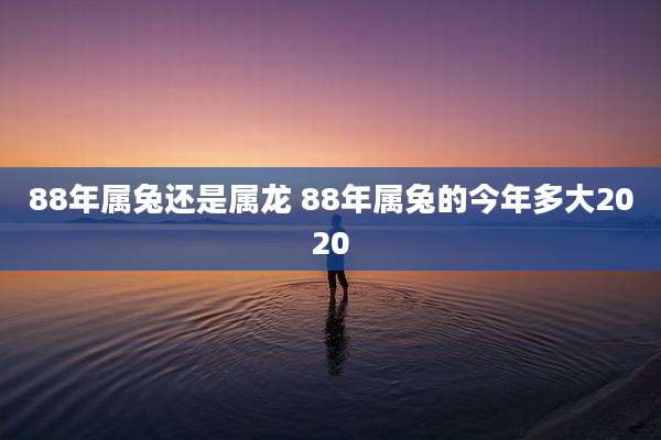 88年属兔还是属龙 88年属兔的今年多大2020