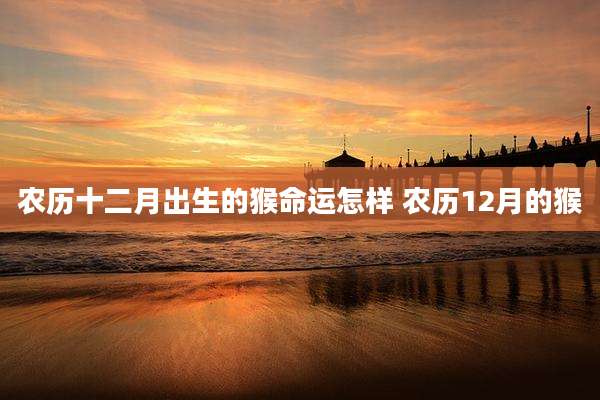农历十二月出生的猴命运怎样 农历12月的猴