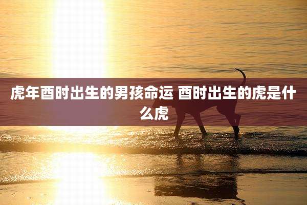 虎年酉时出生的男孩命运 酉时出生的虎是什么虎