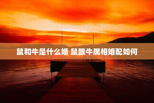鼠和牛是什么婚 鼠跟牛属相婚配如何