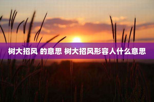 树大招风 的意思 树大招风形容人什么意思
