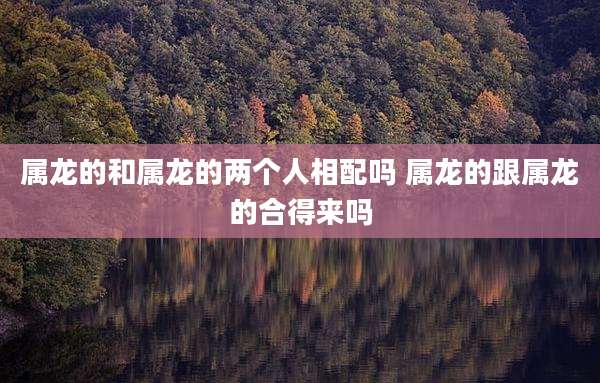 属龙的和属龙的两个人相配吗 属龙的跟属龙的合得来吗