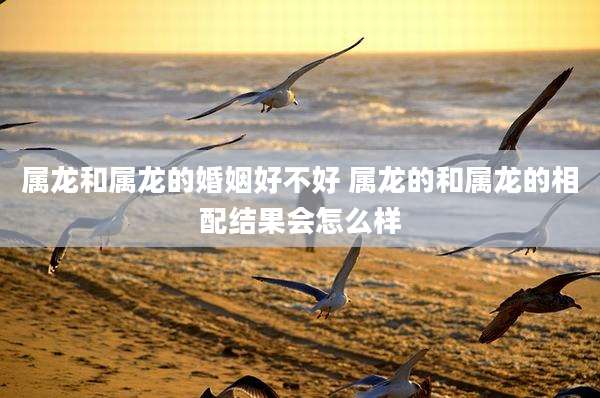 属龙和属龙的婚姻好不好 属龙的和属龙的相配结果会怎么样