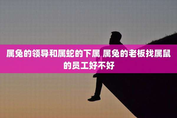 属兔的领导和属蛇的下属 属兔的老板找属鼠的员工好不好