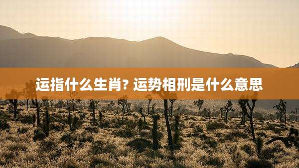 运指什么生肖? 运势相刑是什么意思