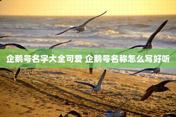 企鹅号名字大全可爱 企鹅号名称怎么写好听