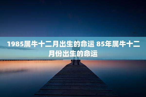 1985属牛十二月出生的命运 85年属牛十二月份出生的命运