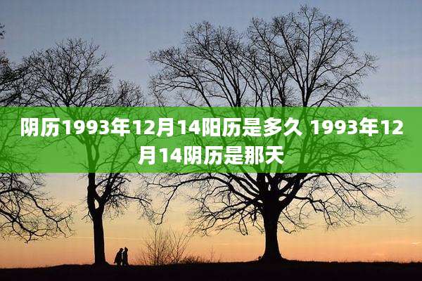 阴历1993年12月14阳历是多久 1993年12月14阴历是那天
