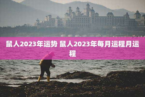 鼠人2023年运势 鼠人2023年每月运程月运程