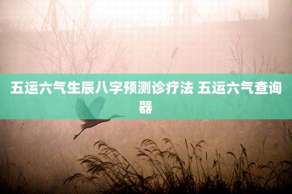 五运六气生辰八字预测诊疗法 五运六气查询器