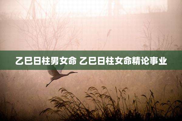 乙巳日柱男女命 乙巳日柱女命精论事业