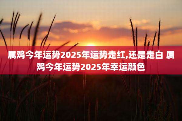 属鸡今年运势2025年运势走红,还是走白 属鸡今年运势2025年幸运颜色