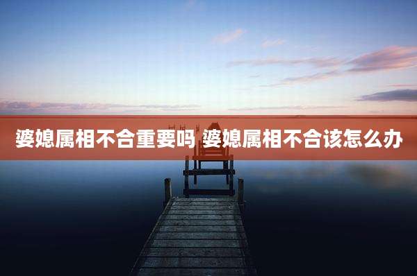 婆媳属相不合重要吗 婆媳属相不合该怎么办