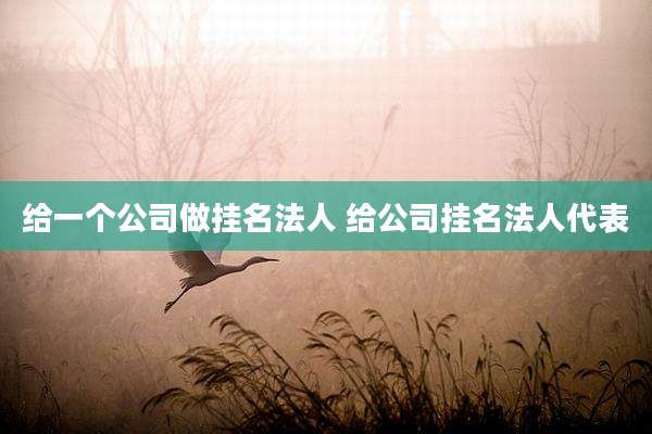 给一个公司做挂名法人 给公司挂名法人代表