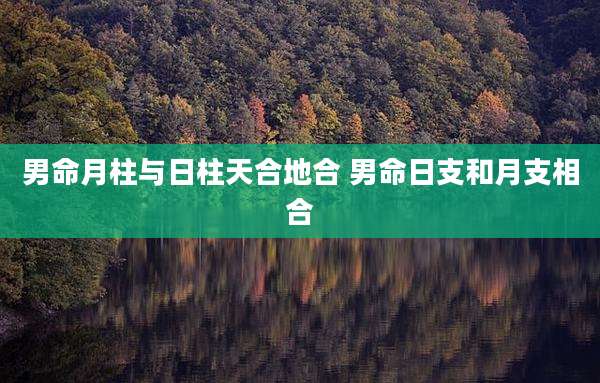 男命月柱与日柱天合地合 男命日支和月支相合