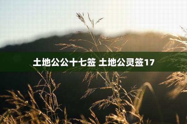 土地公公十七签 土地公灵签17